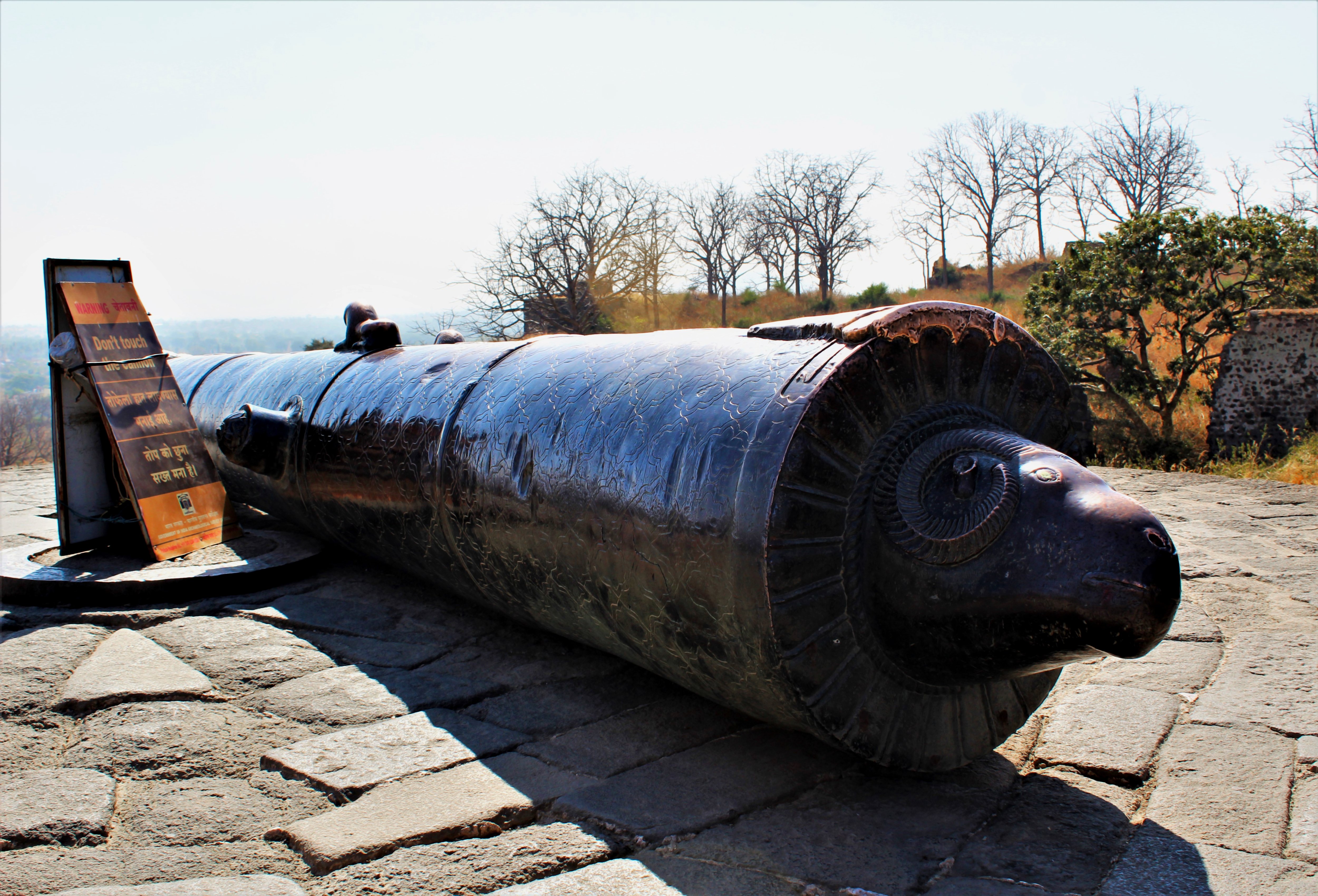The Mendha Cannon