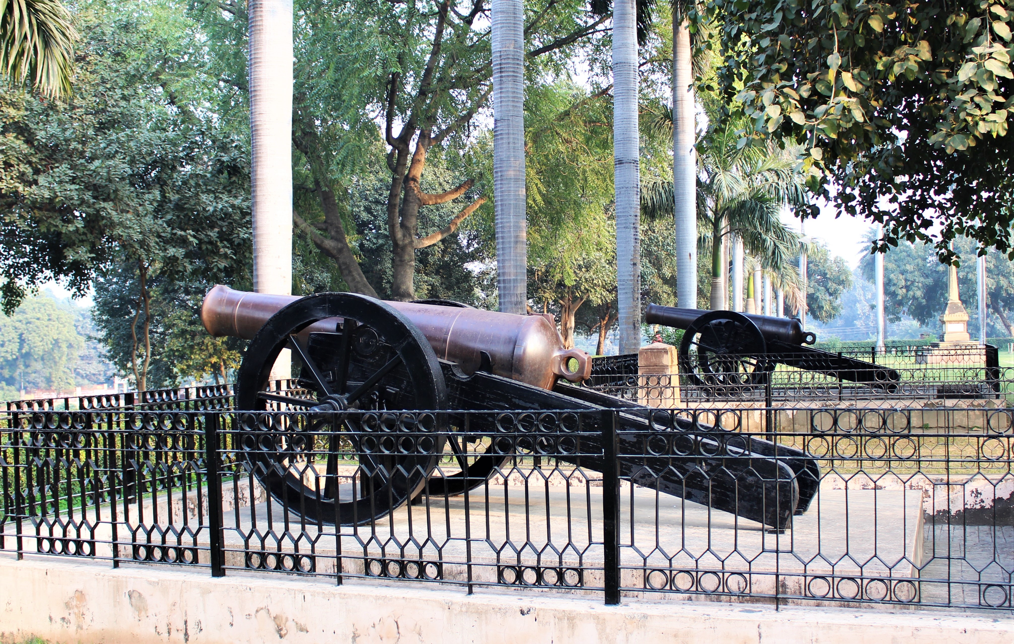 Cannon