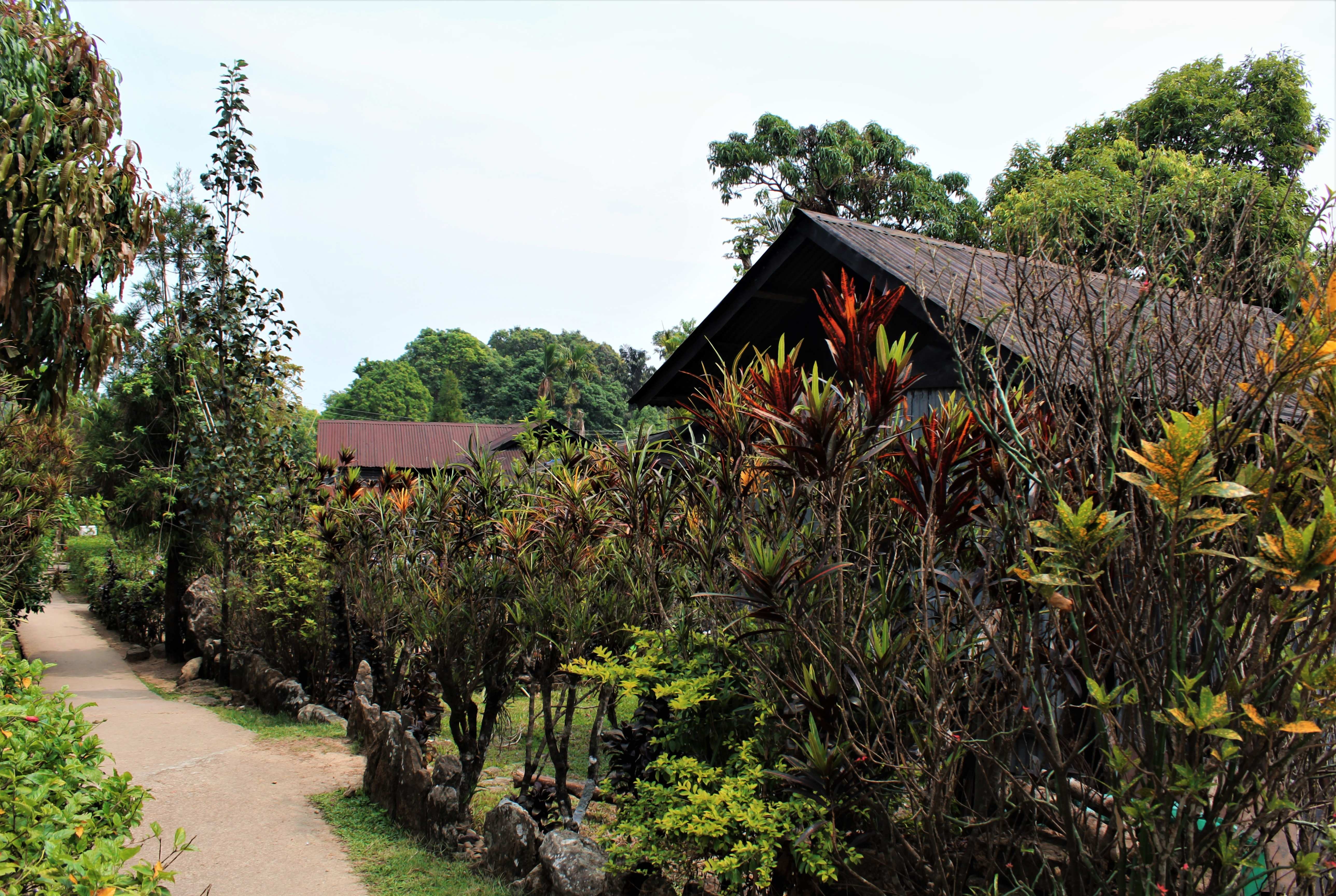 A glimpse of Mawlynnong Village