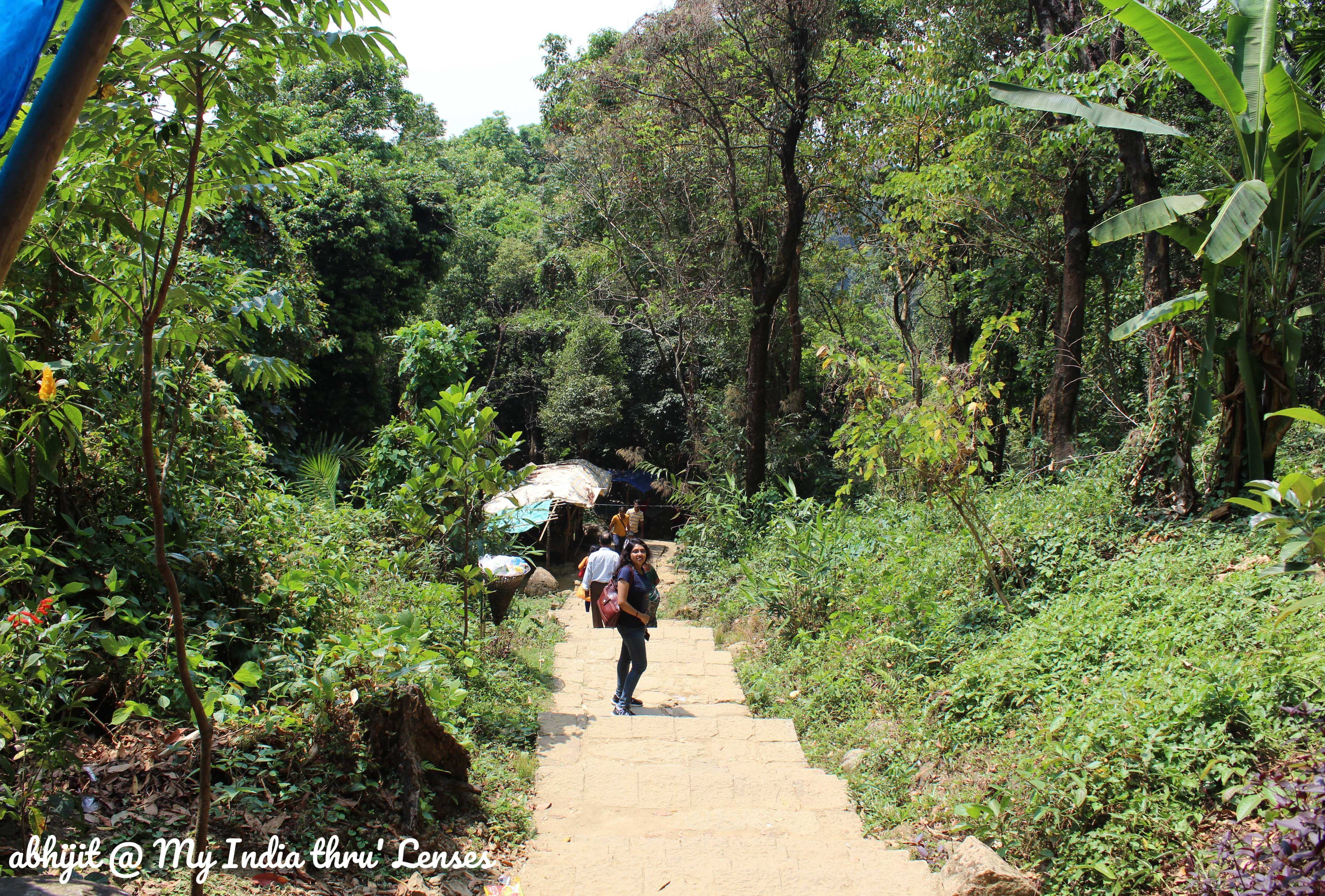 On the way towards Living Root Bridge