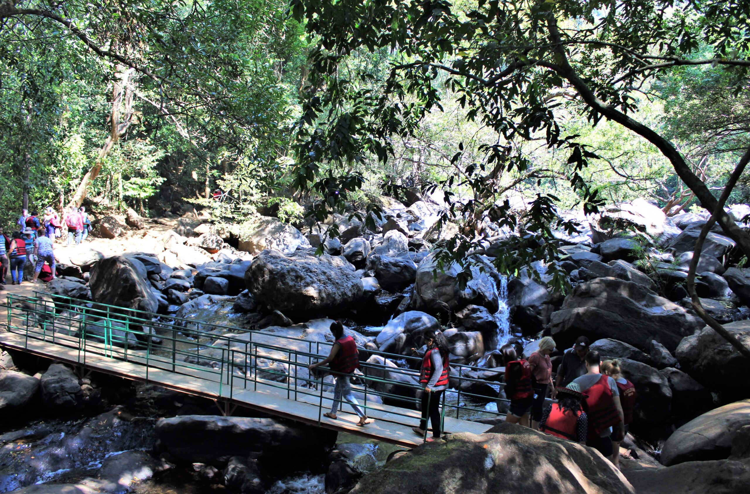 On the way towards Dudhsagar