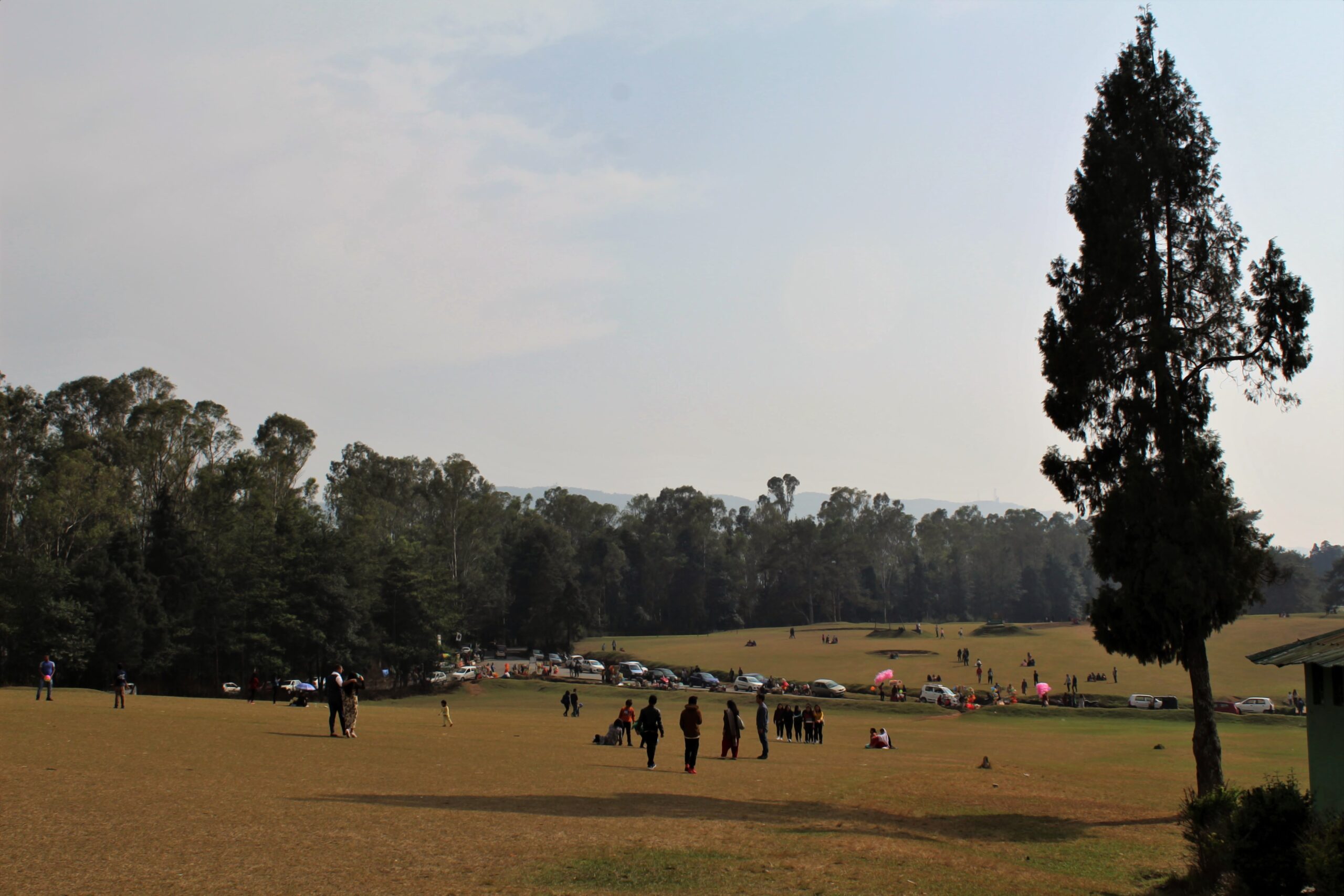 11 Golf Course